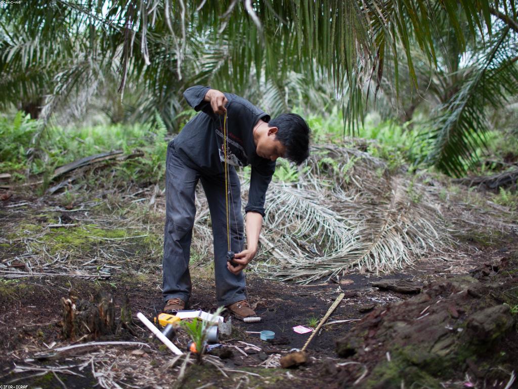 យុទ្ធសាស្ត្រសំរាប់ការលូតលាស់ផ្ទាល់ខ្លួន