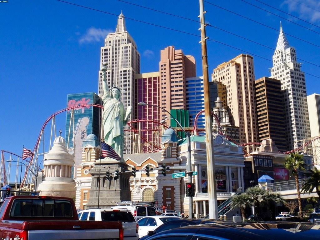 ααΆαααααα½αααΆαααΈααΌα αααααααΈαααααΆααα’αααααΆαααααΆαα