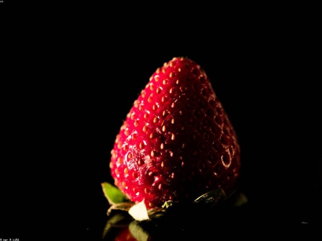 ការត្រួតពិនិត្យស៊ិចស៊ីនត្រួតពិនិត្យ: ដំណាក់កាលដ៏សំខាន់សម្រាប់ការយល់ដឹង