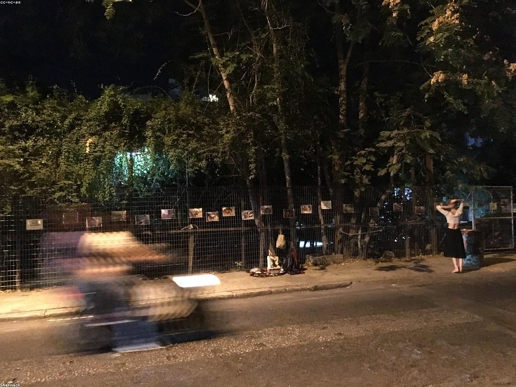 ស៊ិចស៊ីនត្រួតពិនិត្យ: ទាំងអស់អំពីកម្រងសិល្បៈនិងវប្បធម៌