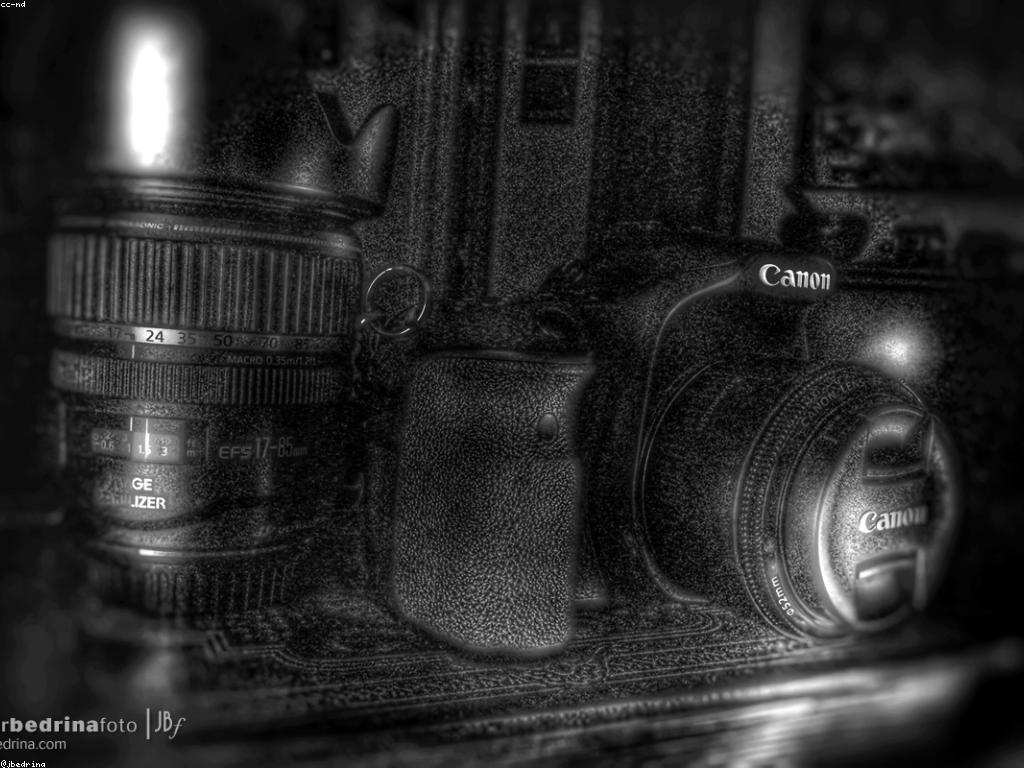 គន្លឹះនិងយុទ្ធសាស្ត្រសម្រាប់ការលូតលាស់អាជីវកម្ម