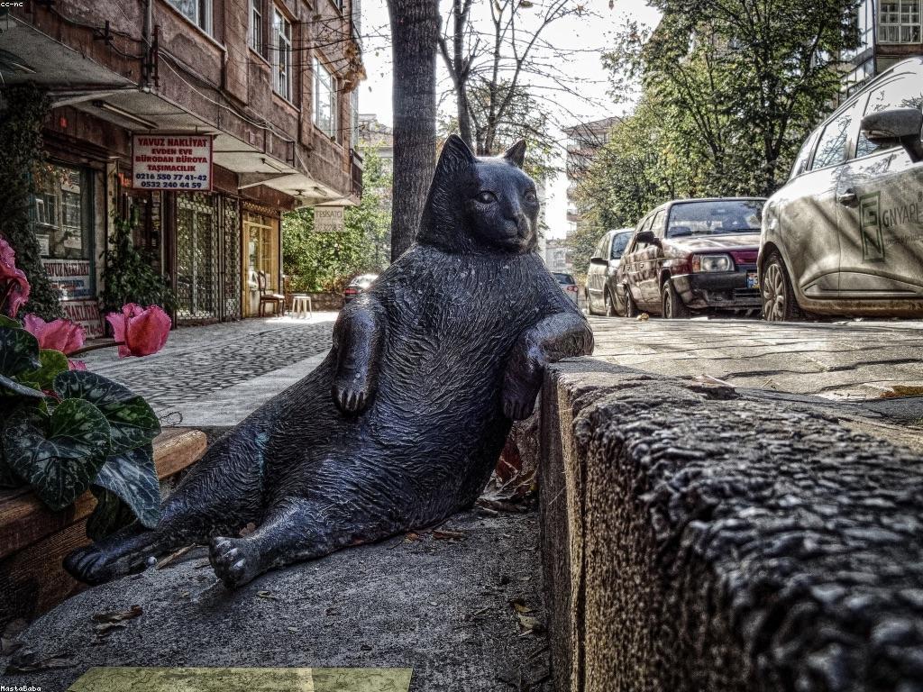 ចំណេះដឹងស្តីពីស្លុត