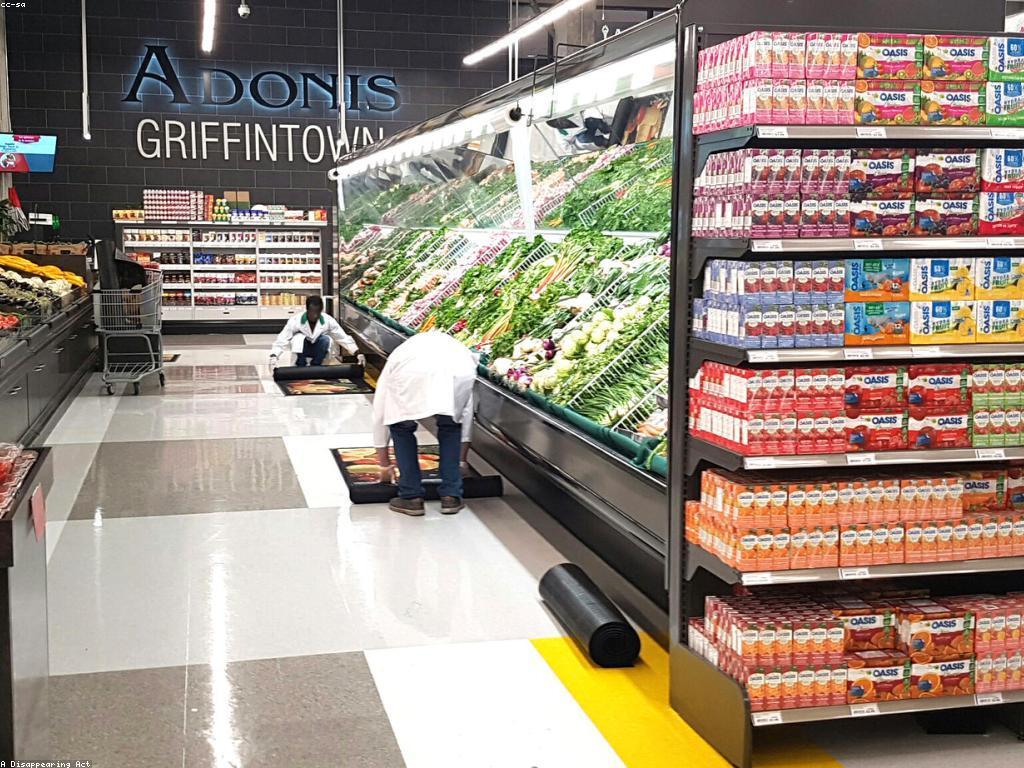 ααΆαααααα½ααααααααΌα: αα·ααα
ααααΆαααααα½αα
α·ααα